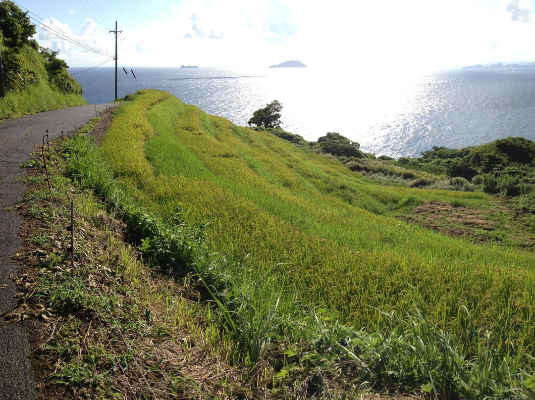 Nii Terraces-伊根町必去景点