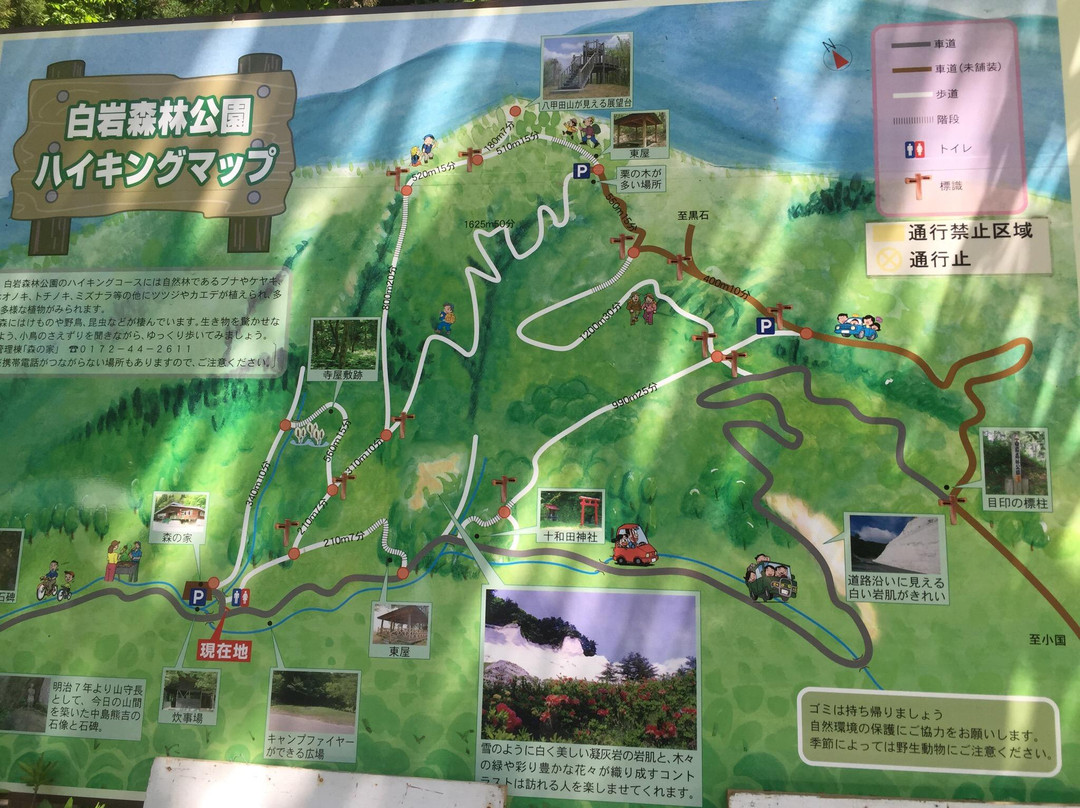 Shiroiwa Forest Park景点图片