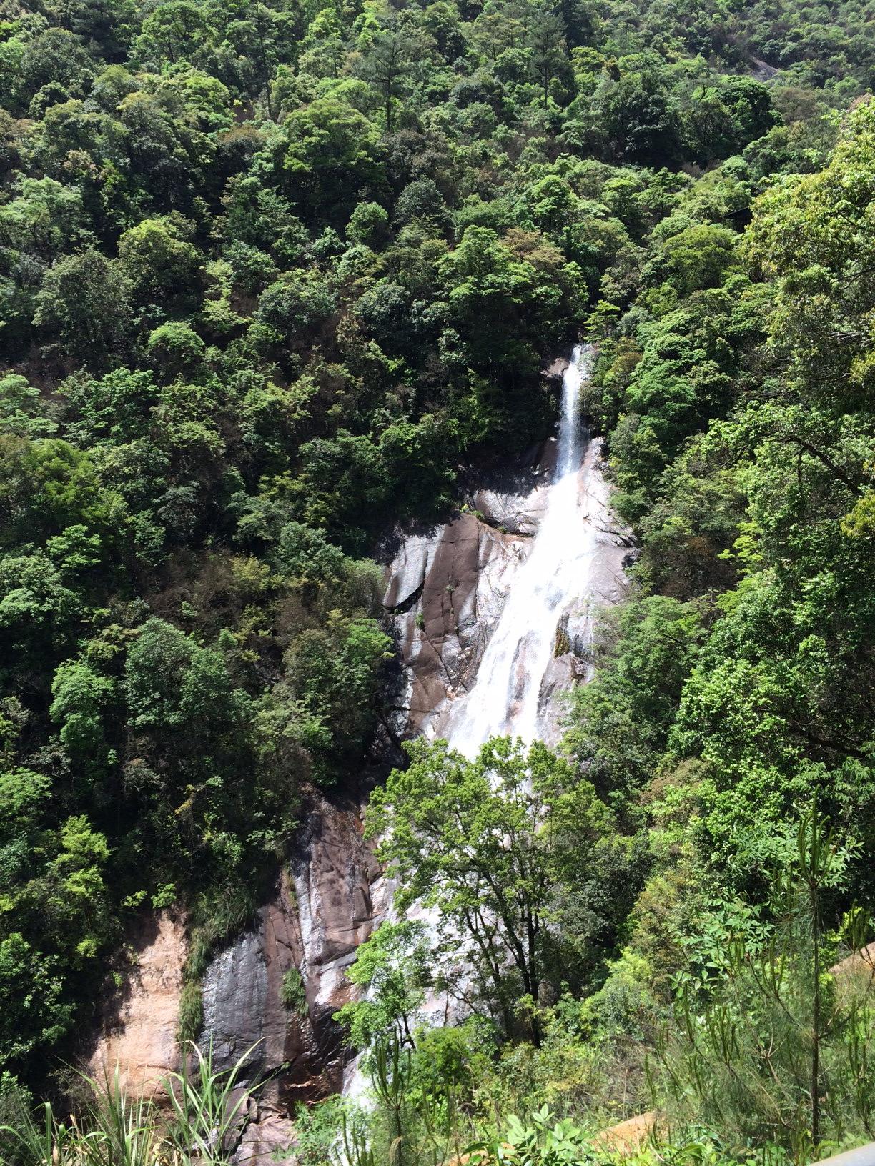 九龙湾度假酒店-官方