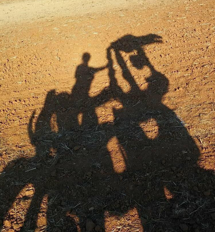 Iron Horse-阿森斯必去景点