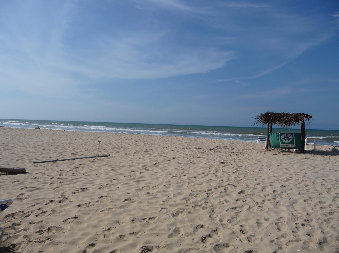 Playa Miami景点图片