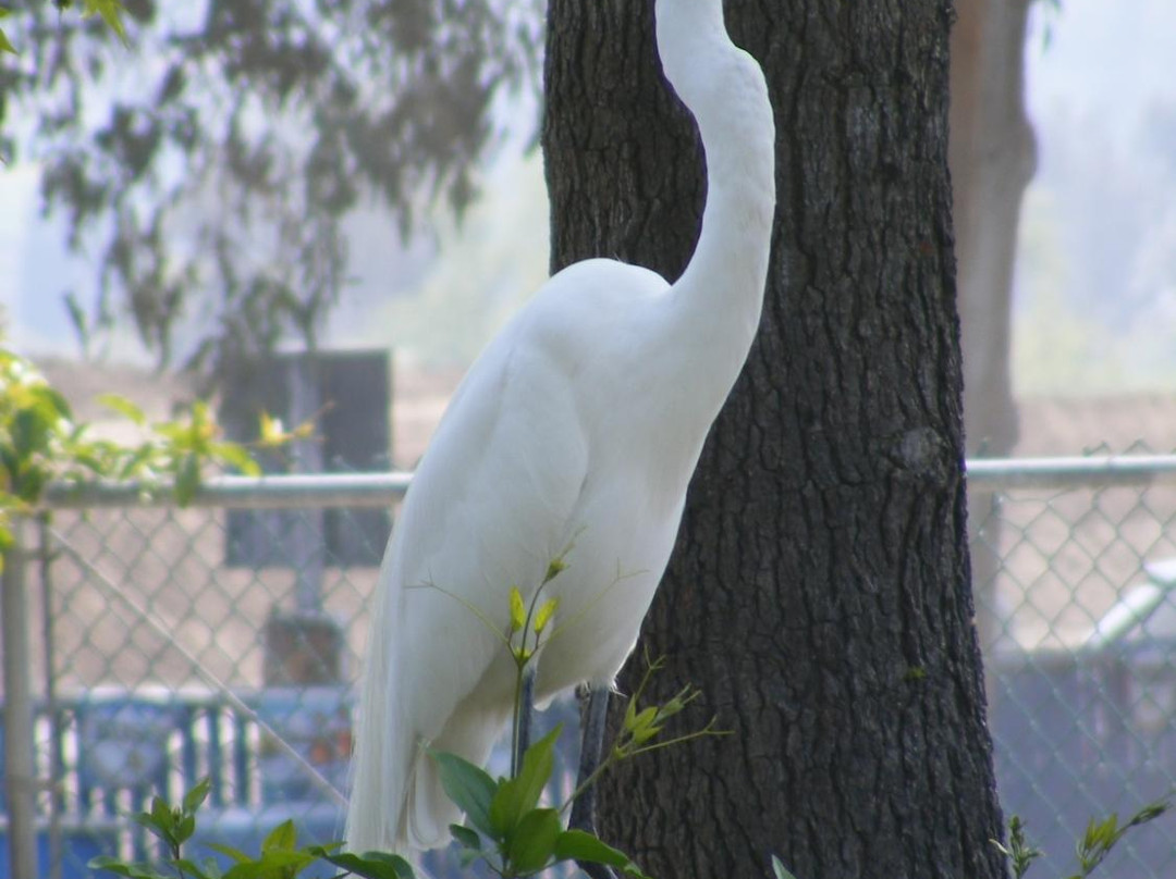 Santa Ana River Lakes-阿纳海姆必去景点