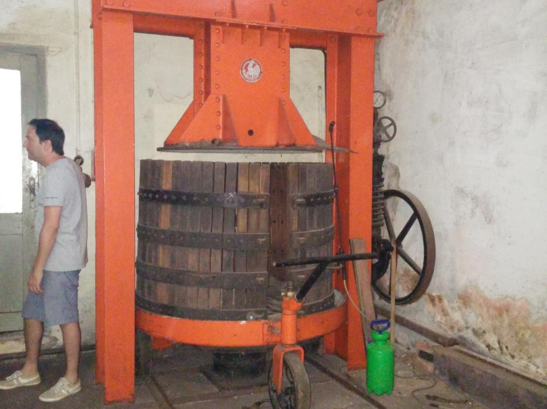 Bernardi Winery-科洛尼亚·德尔萨克拉门托城必去景点