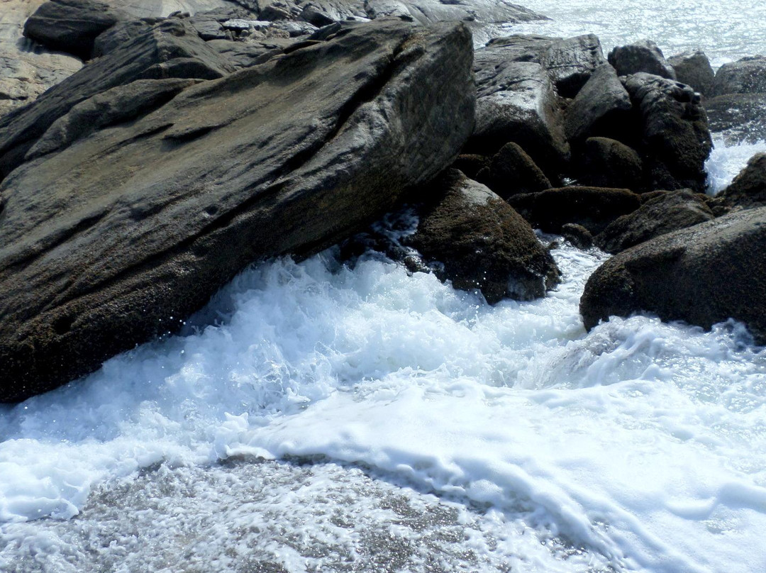 Praia das Conchas景点图片