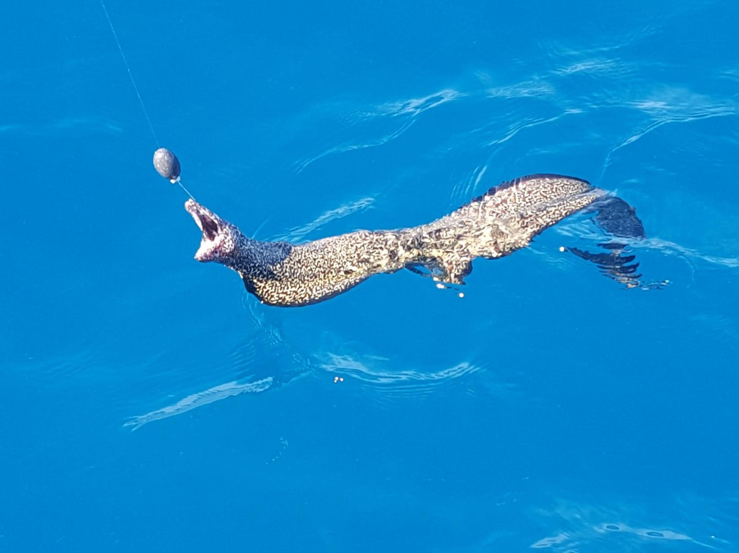 Dooda Charters-Long Key必去景点