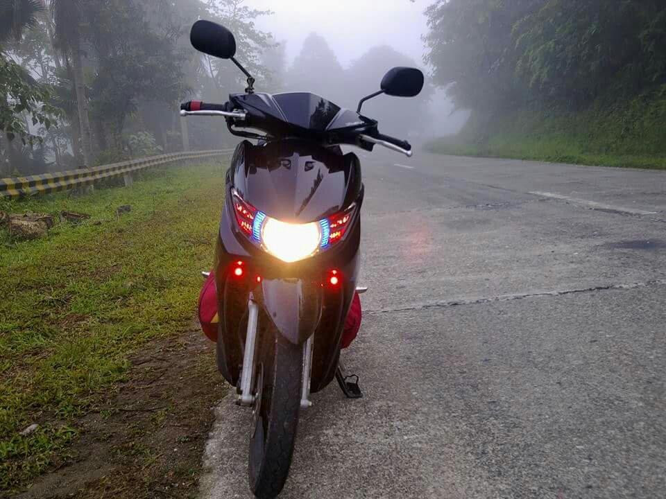 Lion Park-碧瑶必去景点