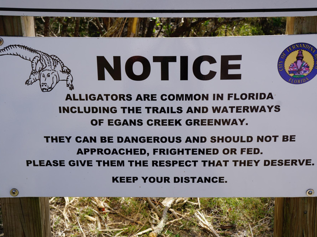 Beach Rentals And More-费尔南迪纳岛必去景点