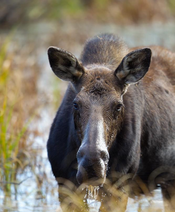 Cody Downard Photography Workshops and Tours-威尔逊必去景点