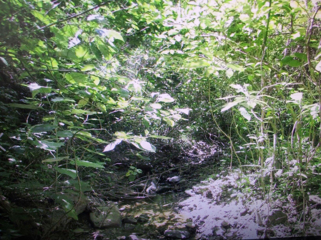 La Higuera-圣克鲁斯省必去景点