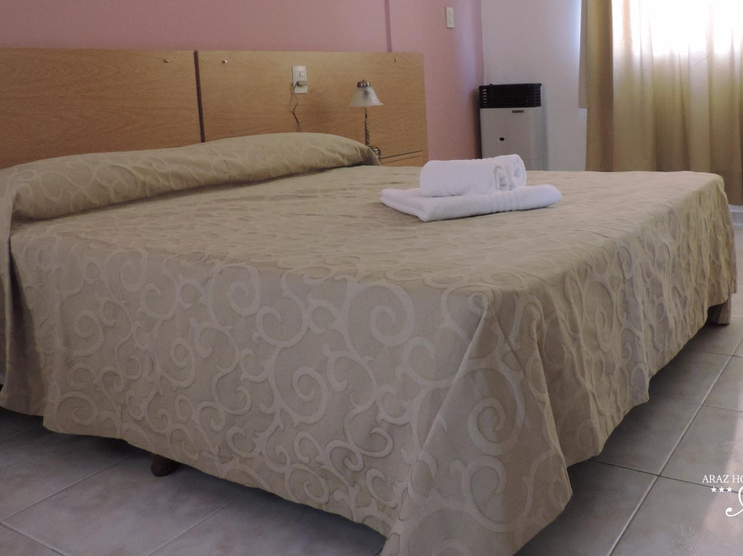 Hotel Araz主图