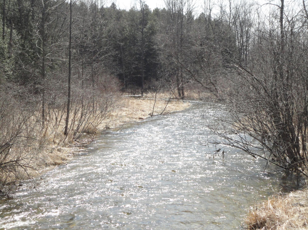 Kettle Moraine State Forest景点图片