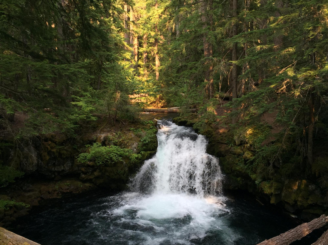 Whitehorse Falls景点图片