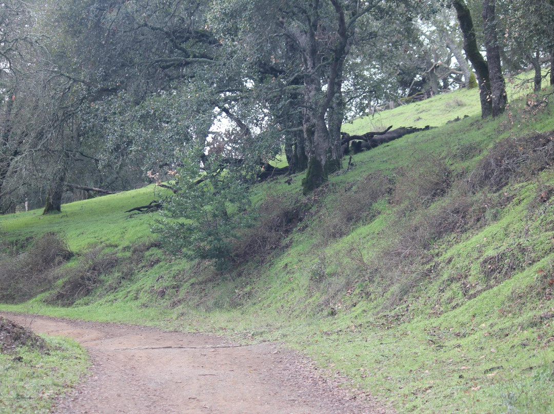 Augustin Bernal Park-普莱森顿必去景点