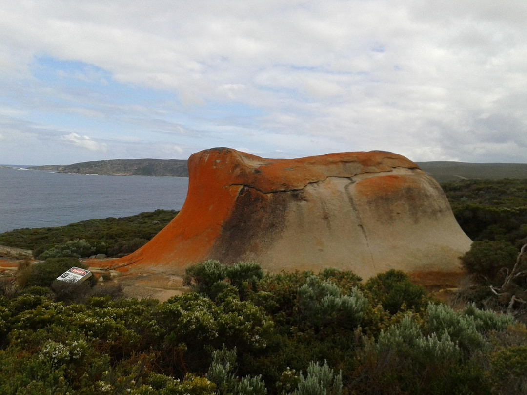Kangaroo Island Transfers景点图片