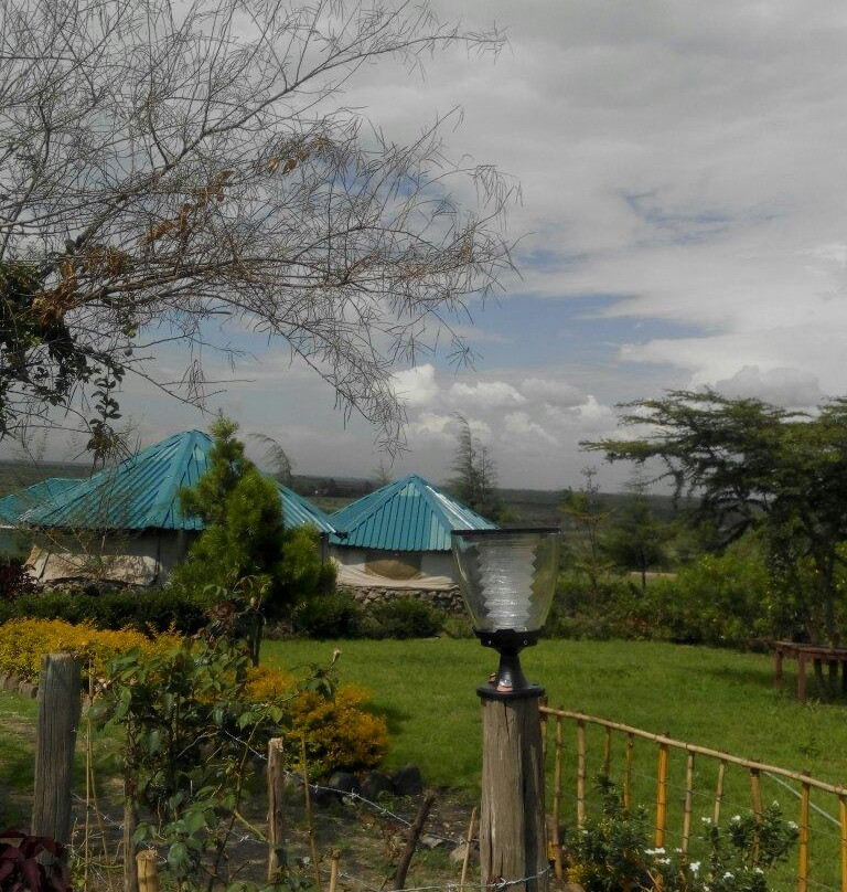 Koko's Place