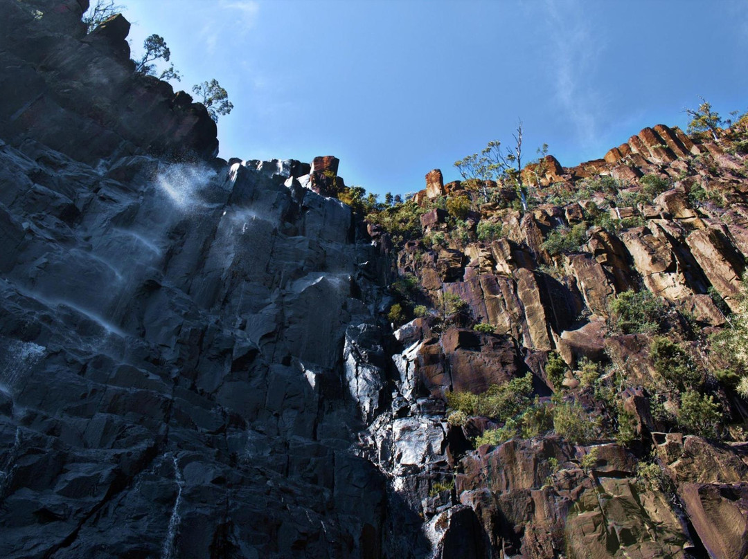 Pelverata Falls Track景点图片