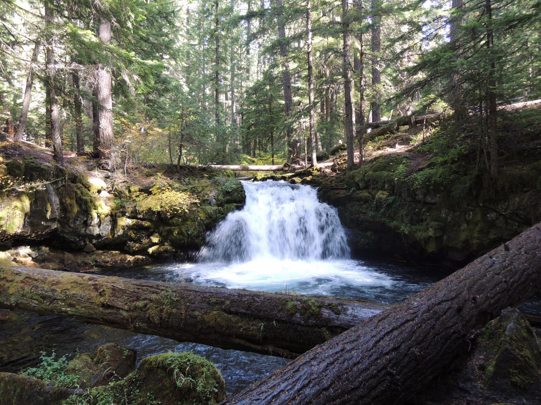 Whitehorse Falls景点图片