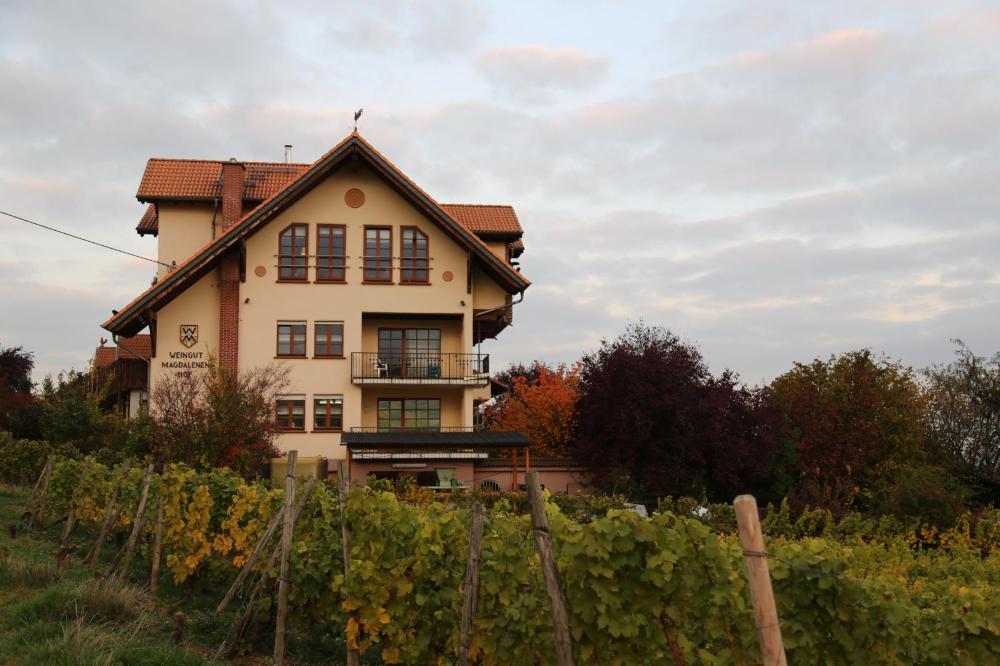 Inn Magdalenenhof-客卧