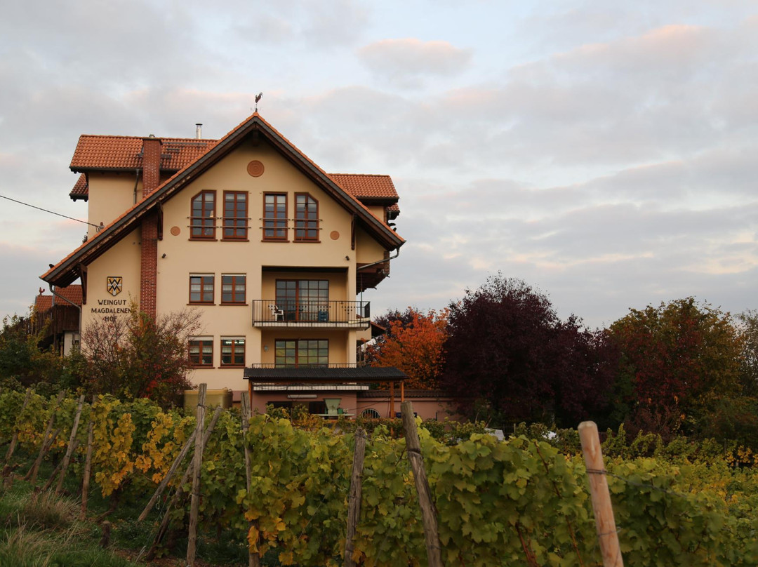 Inn Magdalenenhof