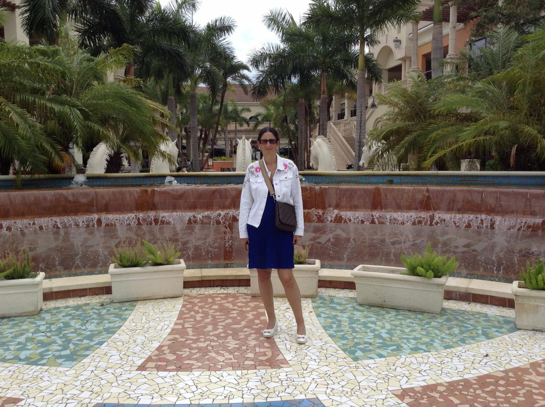 The Village at Gulfstream Park-哈伦代尔海滩必去景点