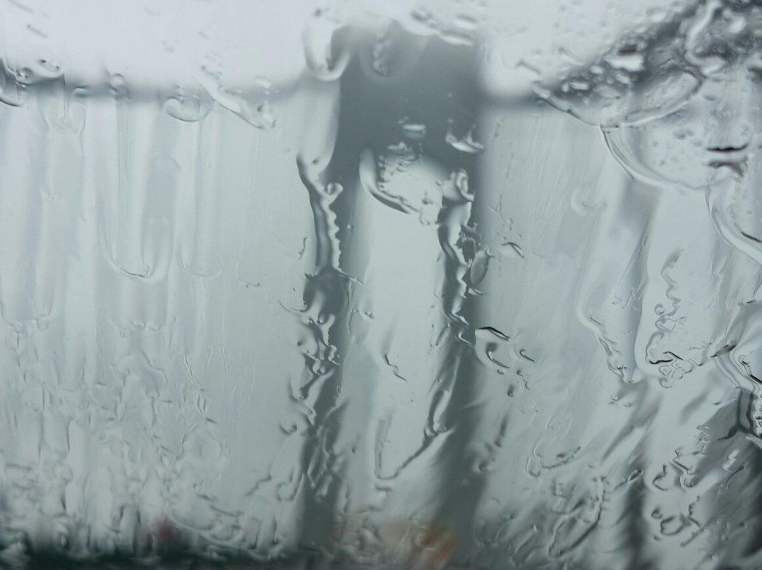 Verrazano Narrows Bridge-布鲁克林必去景点