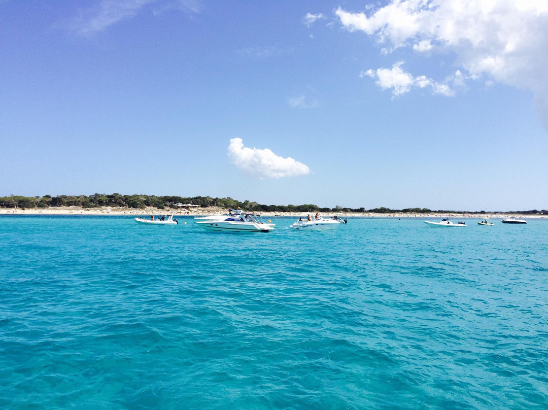 Lux Charters Ibiza景点图片
