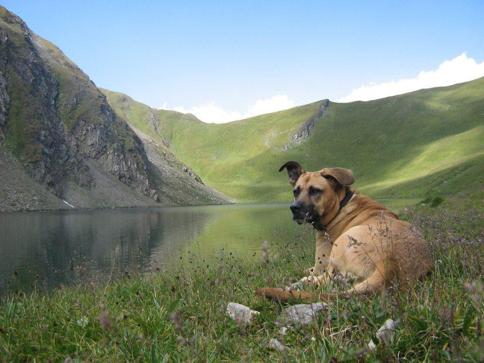 Lago di Liconi-Morgex必去景点