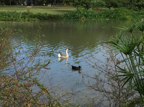 Mueller Lake Park-奥斯丁必去景点