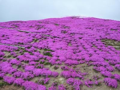 Kamu no Sato Rokutan-世罗町必去景点