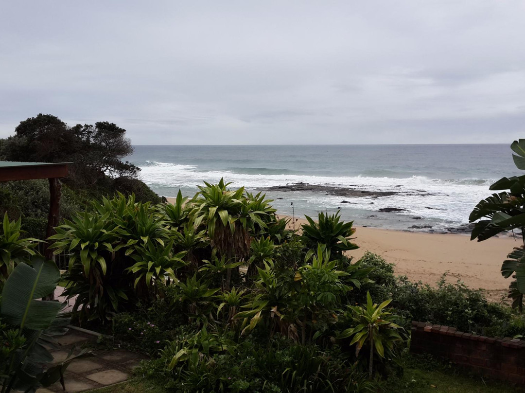 Shore Breakers主图