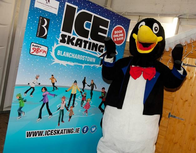 Ice Skating Blanchardstown景点图片