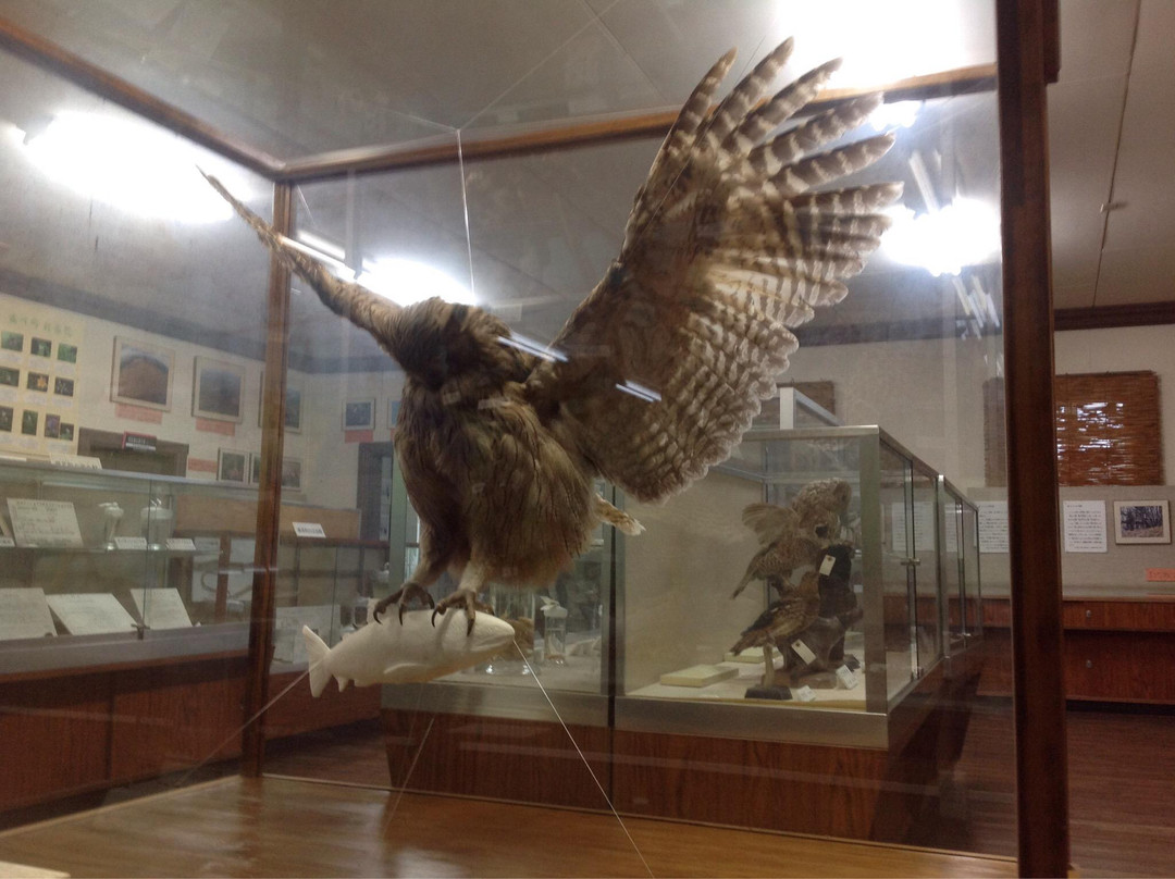 標茶町鄉土館-标茶町必去景点