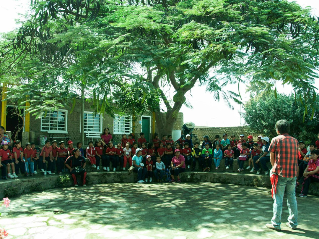 Museo Jardín De Los Sentidos-特鲁希略必去景点