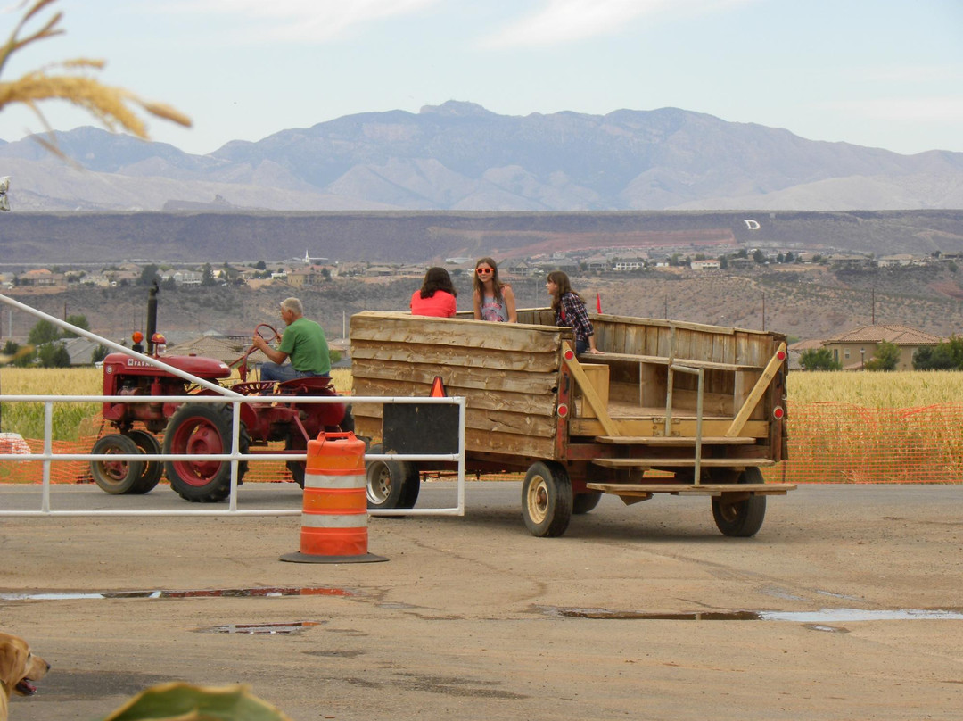 Staheli Family Corn Maze-Washington必去景点