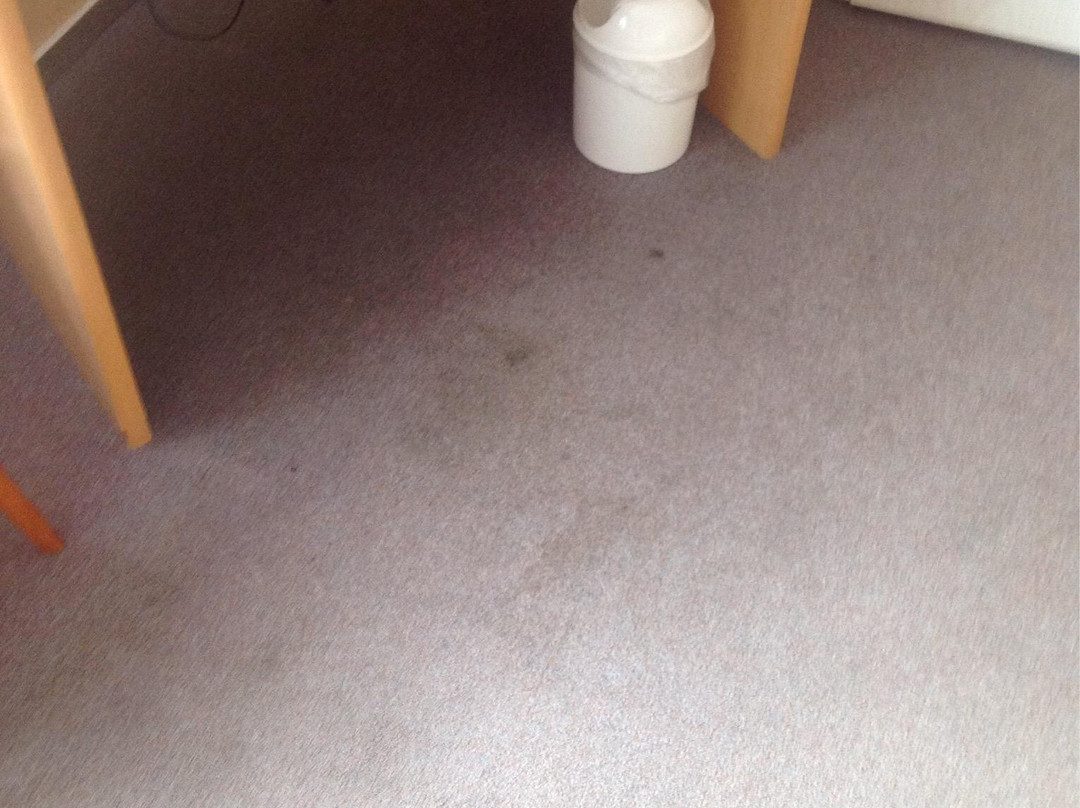 Hotel & Restaurant am Kirschberg主图