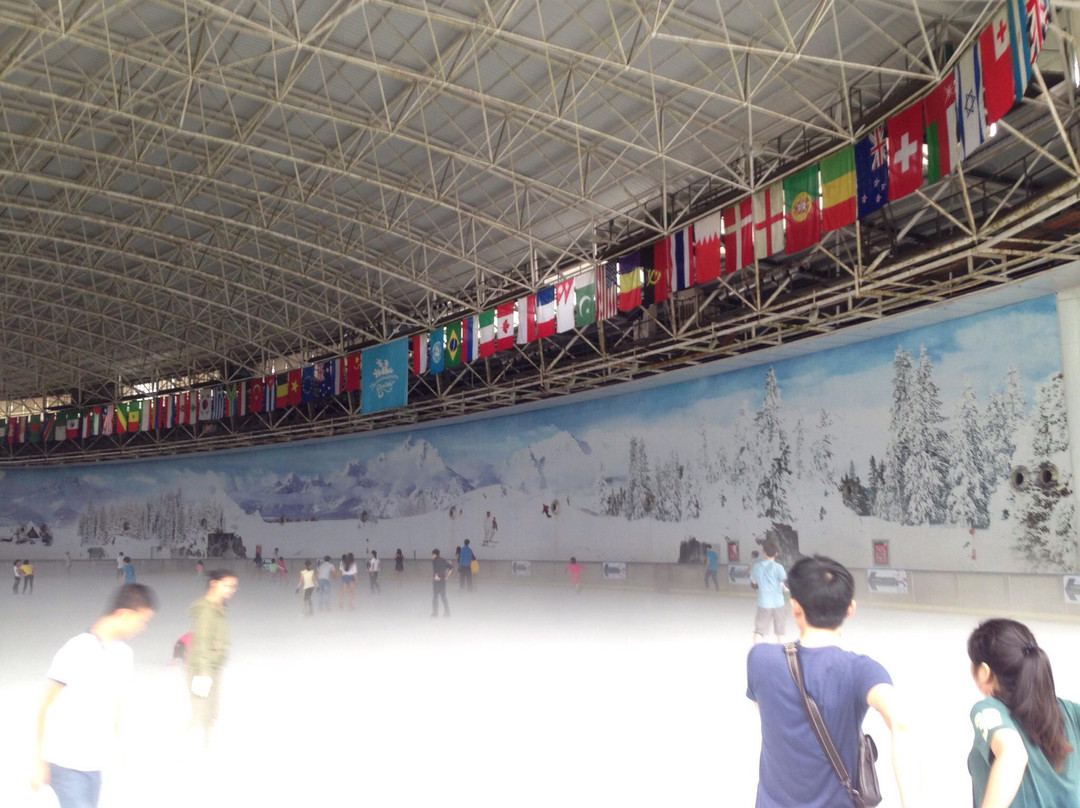 阿尔卑斯冰雪世界-深圳市必去景点