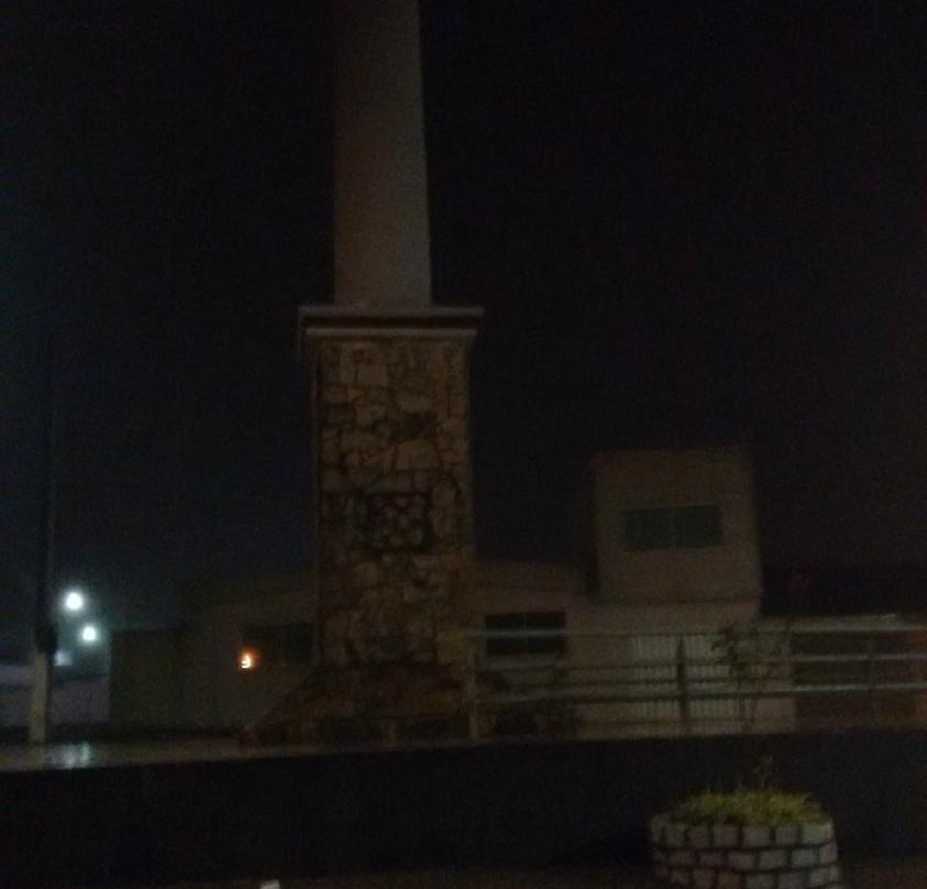 Monumento do Ipiranga景点图片