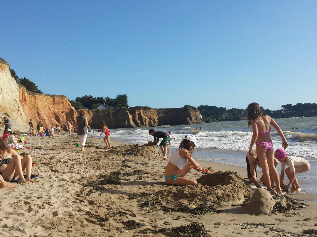 Plage de la Mine d'Or景点图片