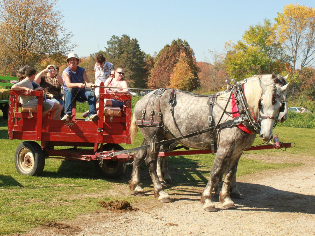 Waterloo Farm Museum景点图片