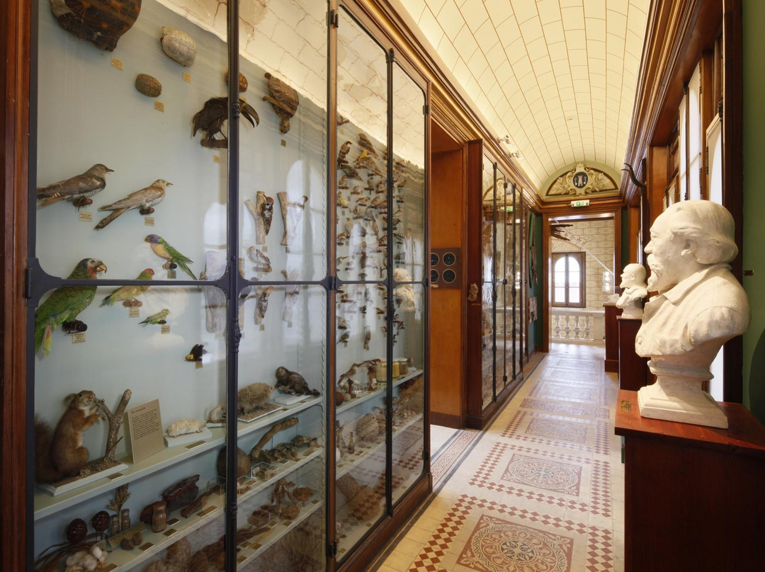 Musee Joseph Denais景点图片