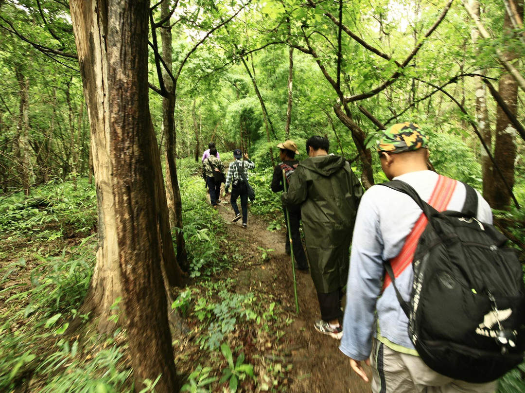 Tour Merng Tai景点图片