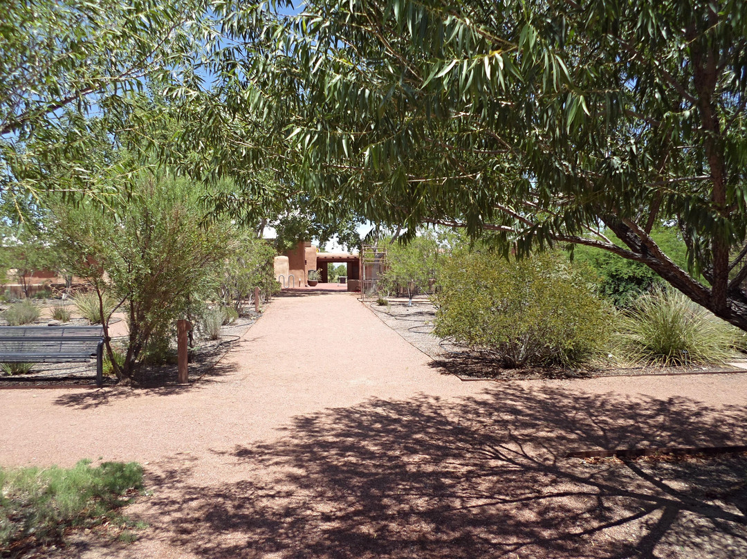 Mesilla Valley Bosque State Park-Mesilla必去景点