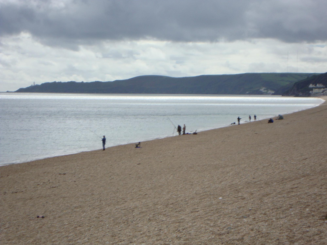 South Hams-托特尼斯必去景点