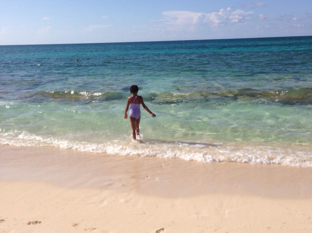 Love Beaches景点图片