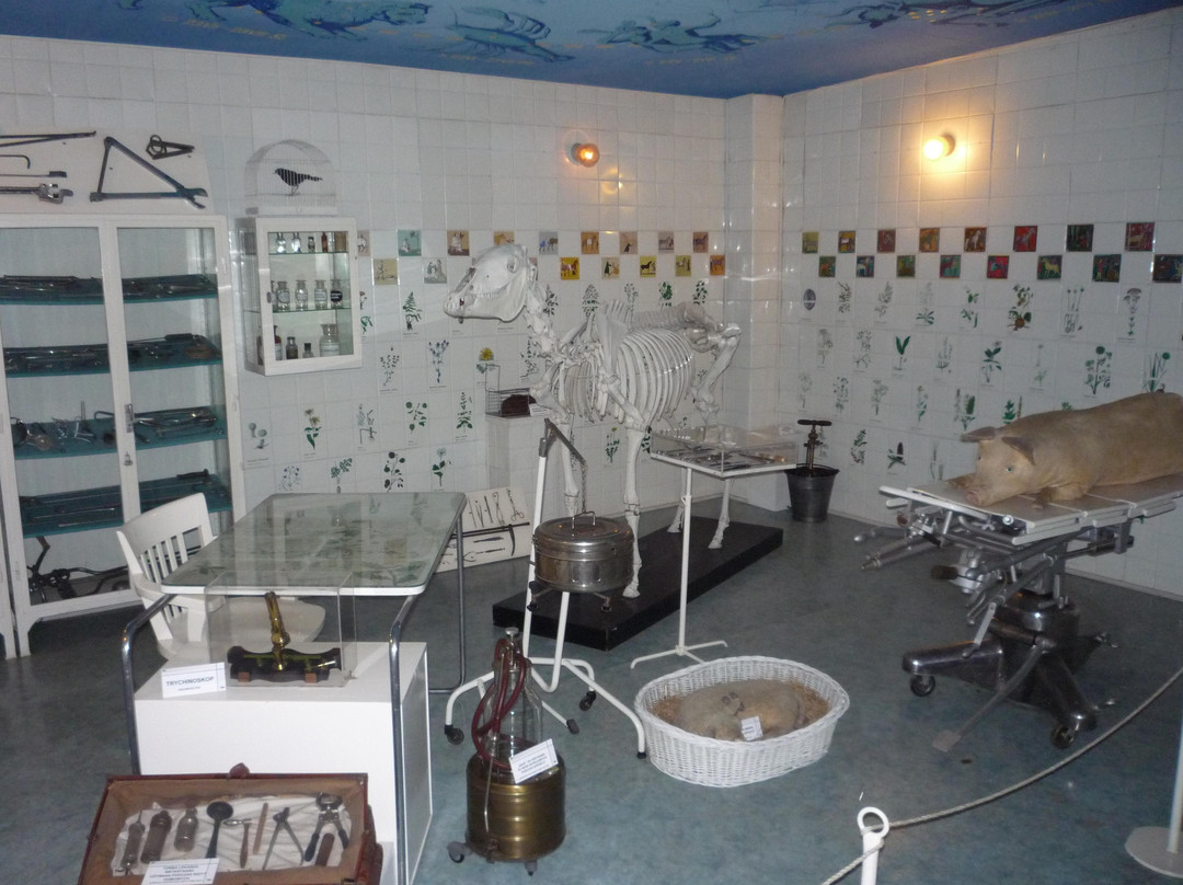 National Museum of Agriculture and Agricultural-Food Industry景点图片