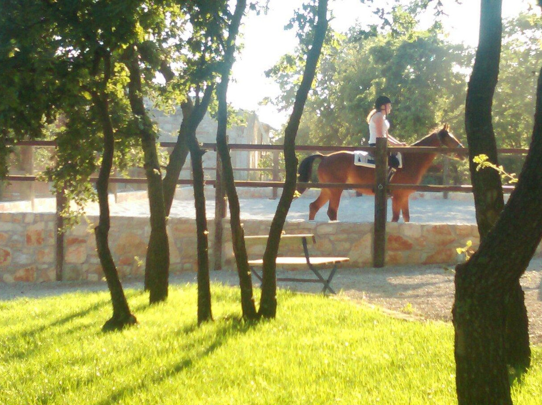 Konjicki klub Jakici Horse Riding-Sveti Lovrec必去景点