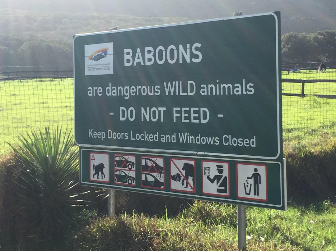 Green Cape Tours-鱼角必去景点