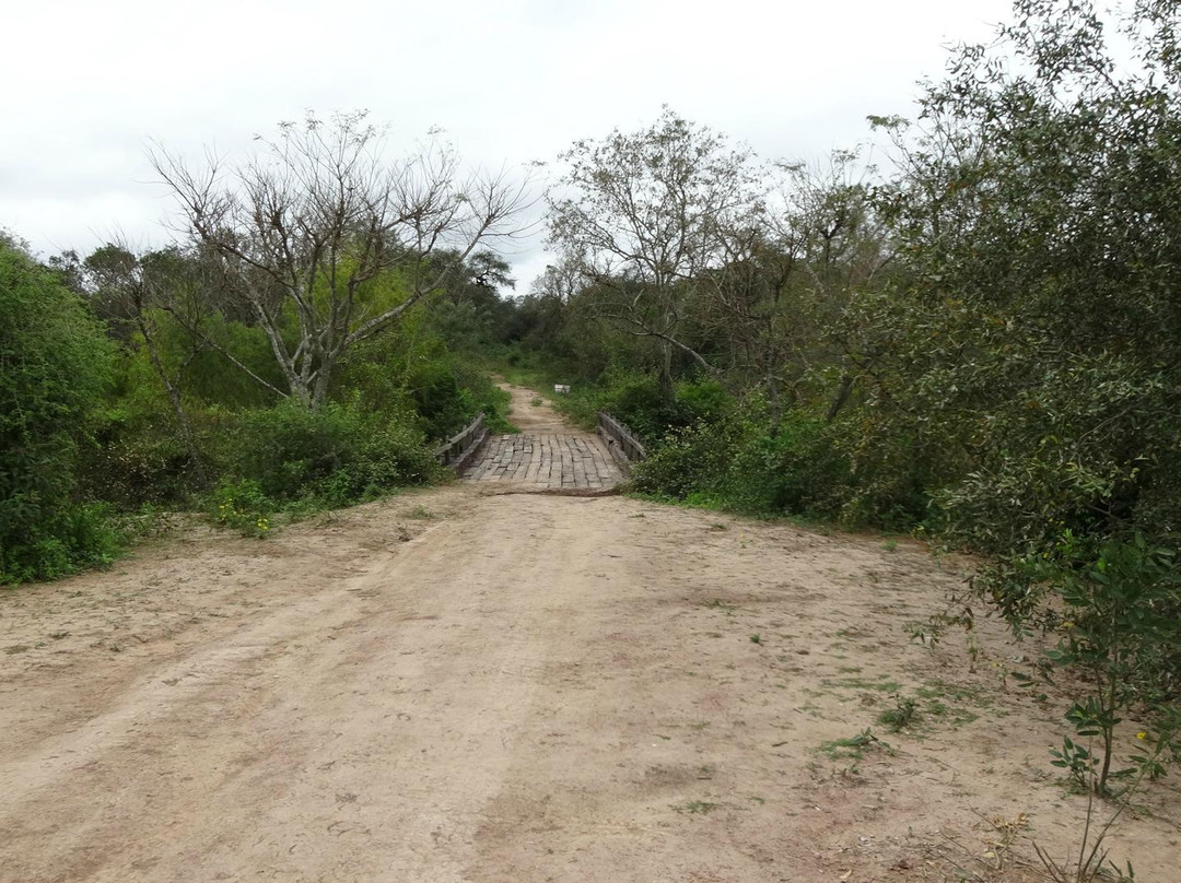 Parque Nacional El Impenetrable景点图片