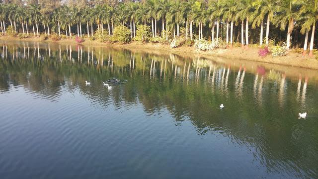 Mirasol Lake Garden-达曼必去景点
