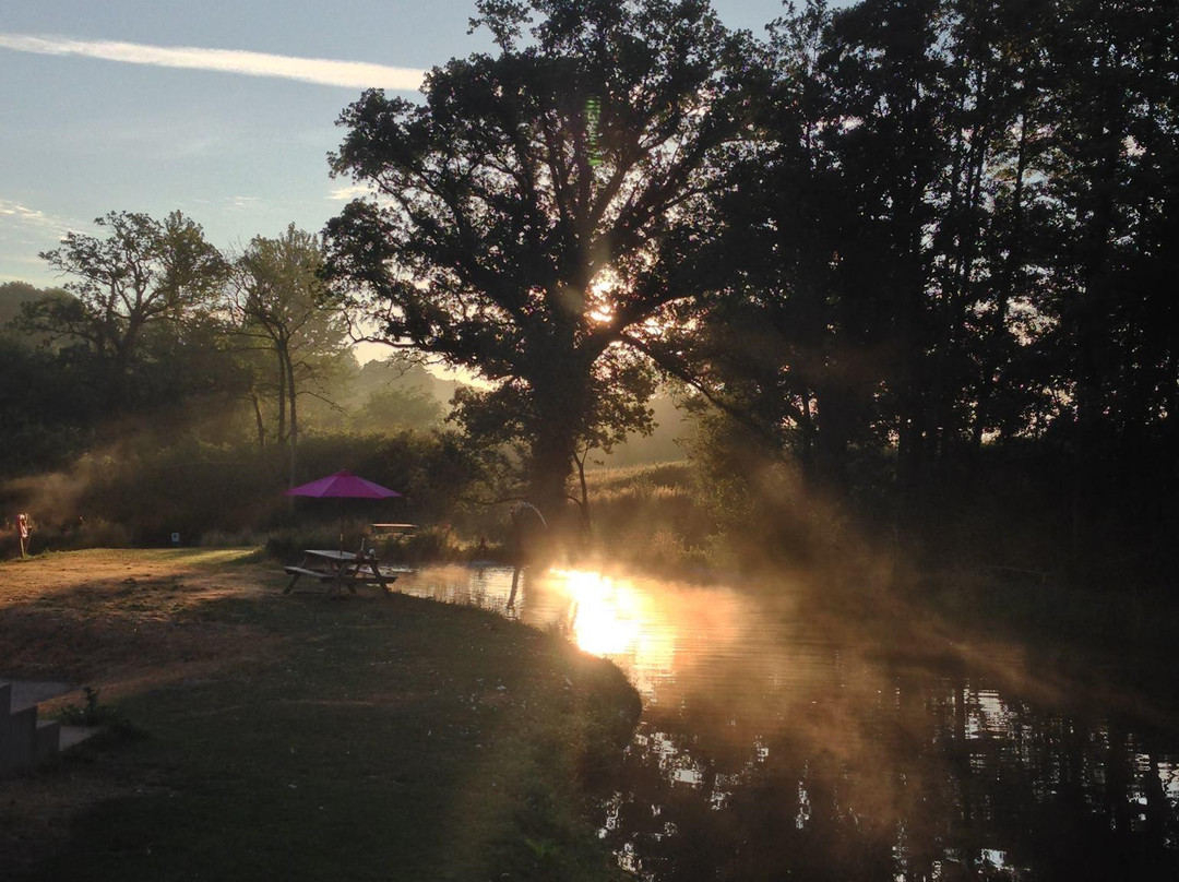 Westford Farm Caravan and Camping